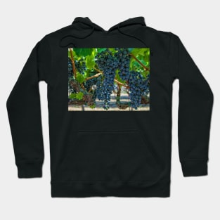 Grapes 2 Hoodie